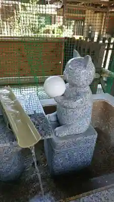 荻窪白山神社の手水舎