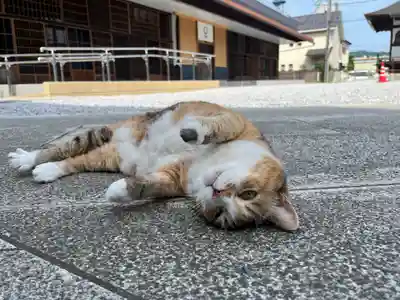 秩父札所十三番 慈眼寺(埼玉県)