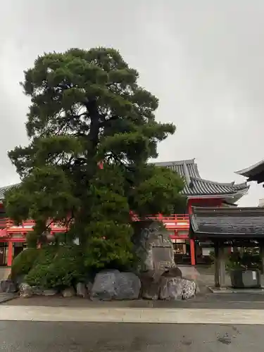 高幡不動尊　金剛寺の庭園