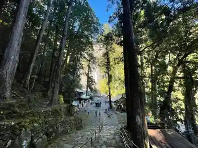 飛瀧神社(熊野那智大社別宮)(和歌山県)