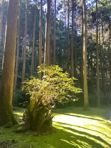 御岩神社(茨城県)