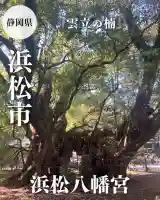 浜松八幡宮(静岡県)