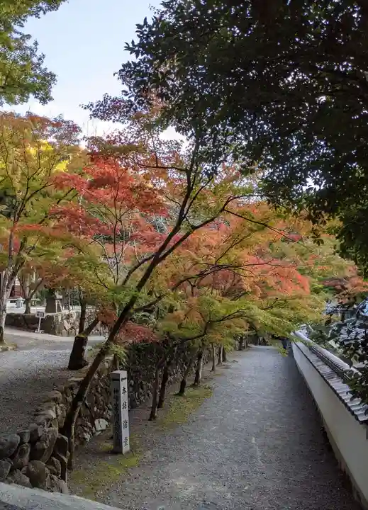 神峯山寺(大阪府)