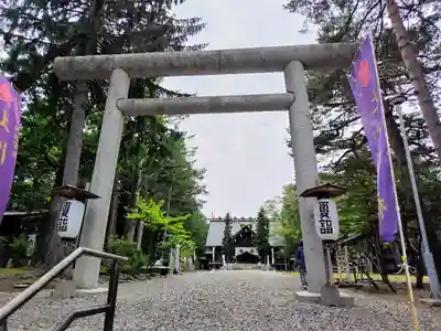 上川神社の鳥居