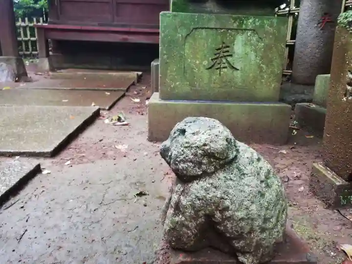 渋谷氷川神社の狛犬