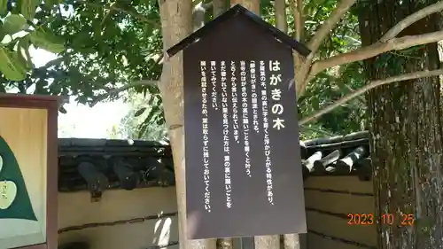 法起院(奈良県)