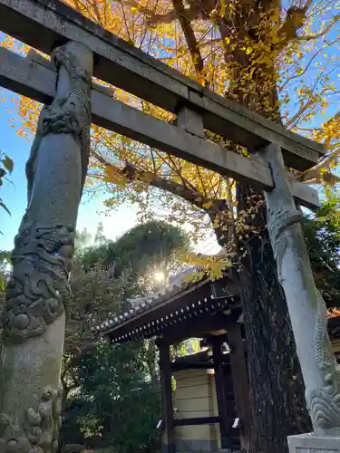 高円寺(東京都)