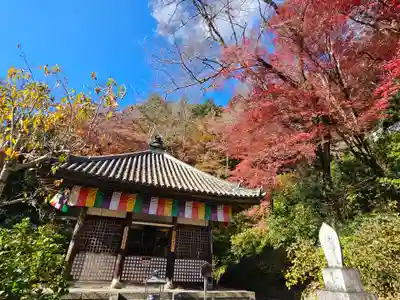 長谷寺(奈良県)