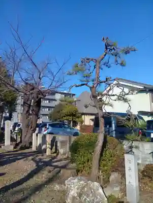 菊地神社(岐阜県)