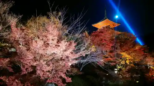清水寺の{uncategorized: "未分類", other: "その他", undefined: "問題あり", building: "その他建物", grave: "お墓", sacred_gate: "鳥居", guardian: "狛犬", statue: "像", buddha: "仏像", history: "歴史", nature: "自然", garden: "庭園", animal: "動物", pagoda: "塔", temizu: "手水舎", mountain_gate: "山門・神門", sanctuary: "本殿・本堂", subordinate: "末社・摂社", art: "芸術", scenery: "景色", jizo: "地蔵", ema: "絵馬", goshuin: "御朱印", omikuji: "おみくじ", items: "授与品その他", amulet: "お守り", goshuincho: "御朱印帳", eats: "食事", festival: "お祭り", votive_dance: "神楽", shichigosan: "七五三参", wedding: "結婚式", experience: "体験その他", initially: "初詣", around: "周辺", anti_infection: "感染症対策"}