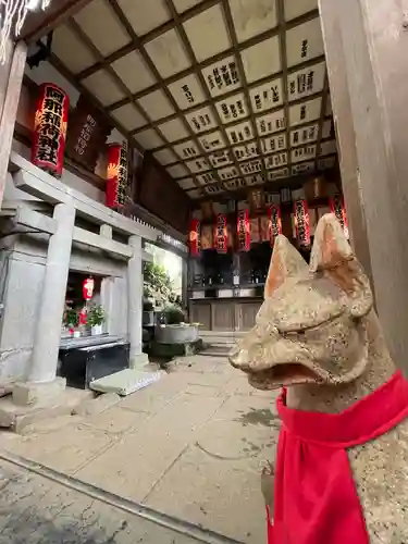 品川神社の狛犬