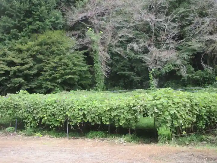 遍照寺(埼玉県)