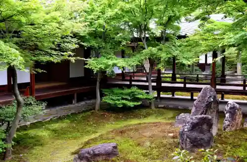 建仁寺（建仁禅寺）の庭園