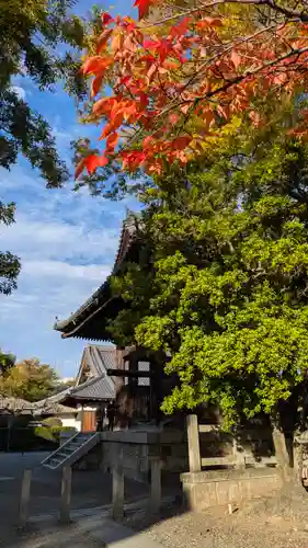 豊国神社(京都府)