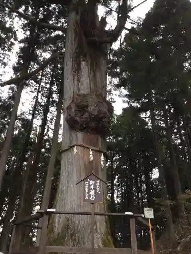 身延山奥之院思親閣(山梨県)