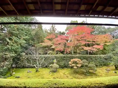 桂春院の庭園