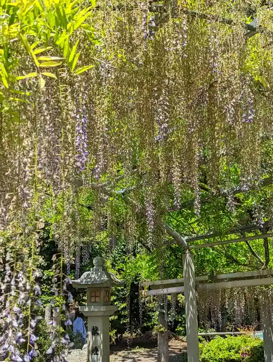 三大神社(滋賀県)