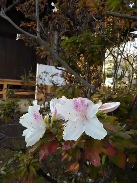 佛蔵院の末社・摂社