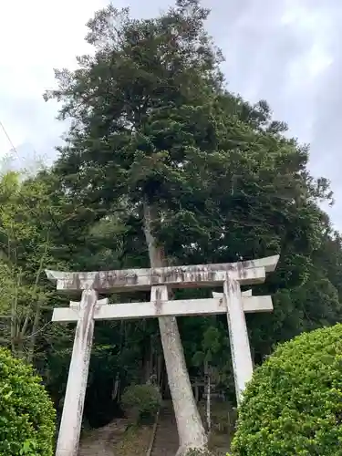 河伯神社の鳥居