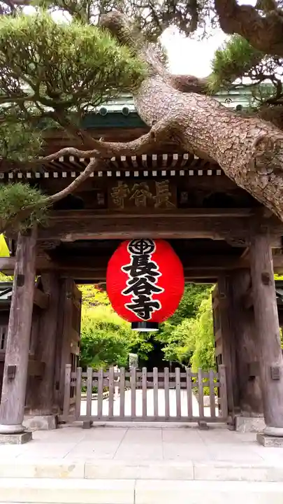 長谷寺の山門・神門