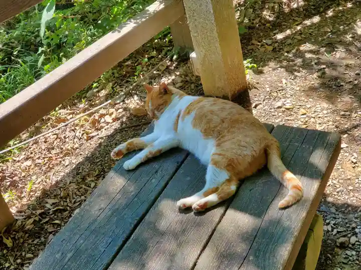 唐澤山神社(栃木県)