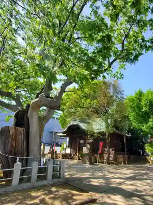 阿邪訶根神社(福島県)