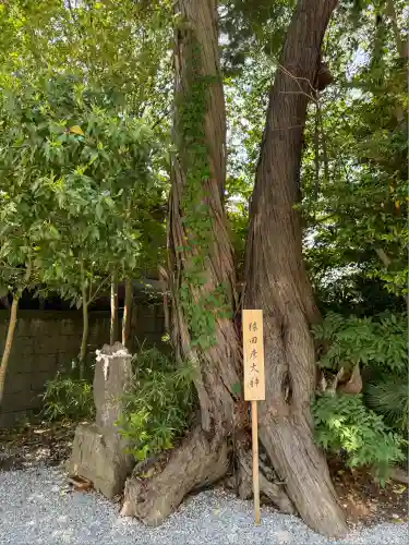 星宮神社(栃木県)