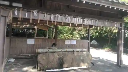 八幡古表神社の手水舎