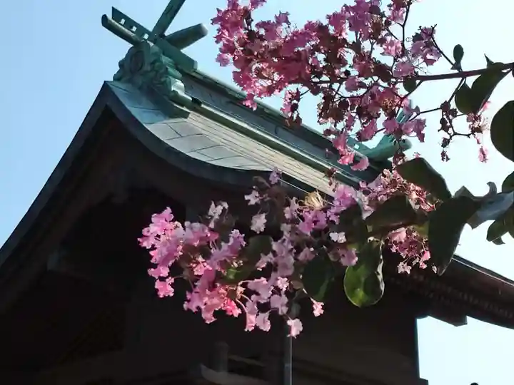 鈴谷天神社の本殿・本堂