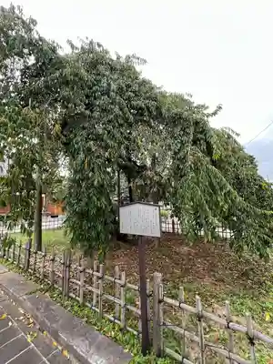 円東寺(福島県)