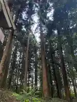 大宮温泉神社(栃木県)