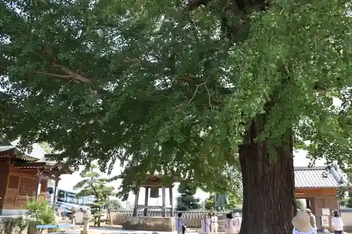 地蔵寺の建物その他