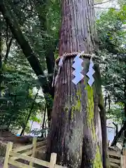 石上神宮(奈良県)