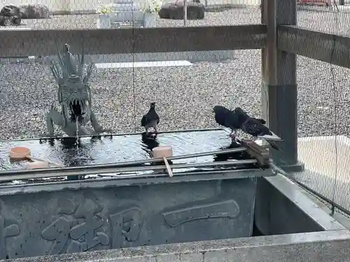 津観音(三重県)