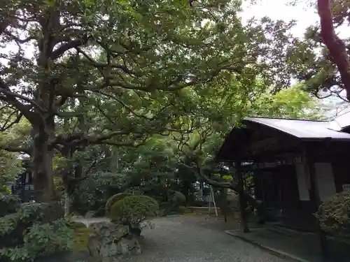 天徳寺のその他建物