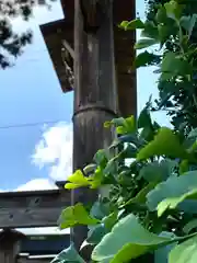 小菅神社里社(長野県)