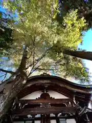 冨士山稲荷神社(長野県)