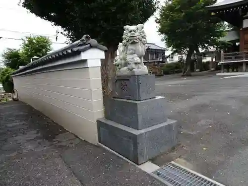 子守神社の狛犬