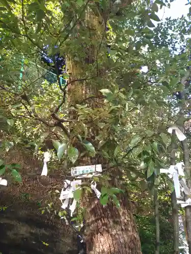久國神社(東京都)