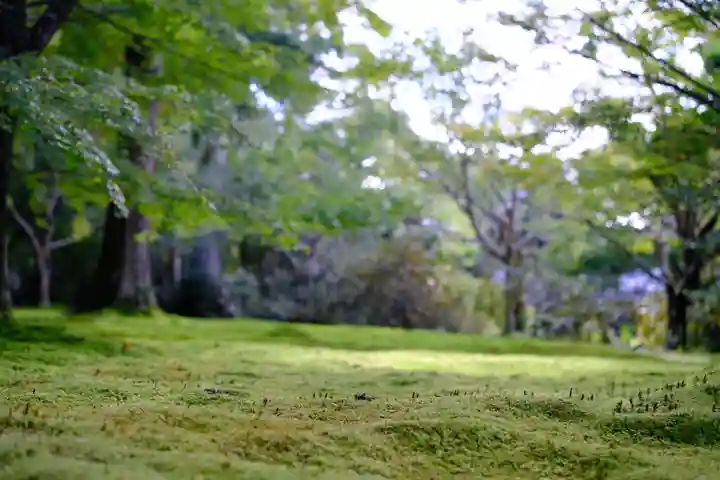 三千院門跡の自然