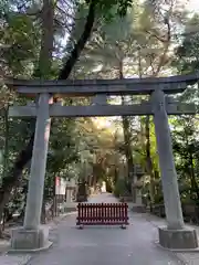 岩槻久伊豆神社の鳥居