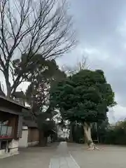 日吉神社(神奈川県)