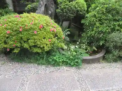 長善寺(東京都)