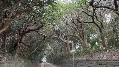 酒列磯前神社(茨城県)