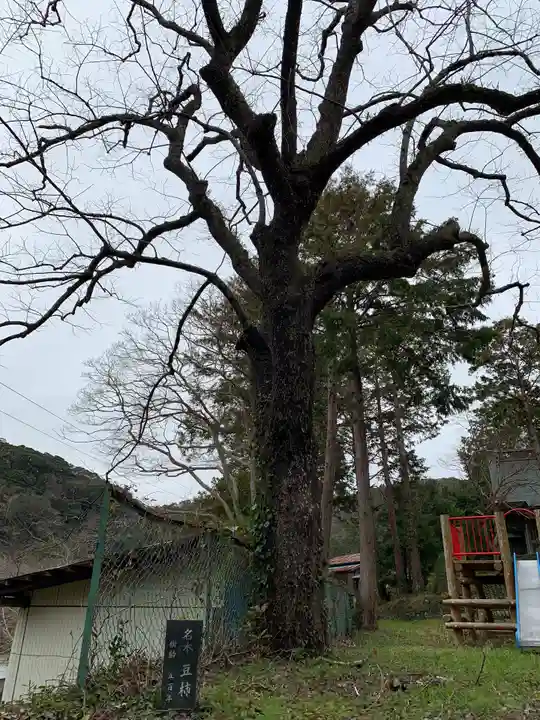 熊野神社の自然