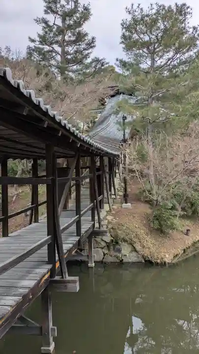 高台寺(高台寿聖禅寺・高臺寺)(京都府)