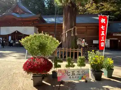 穂高神社本宮(長野県)
