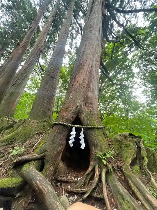 戸隠神社奥社(長野県)