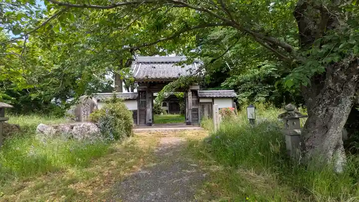 國分寺(国分寺)(京都府)