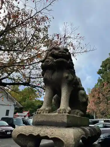 豊山八幡神社の狛犬